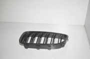 Ziergitter BMW 5er Touring (F11) 7340319