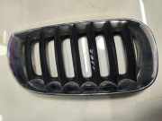 Kühlergrill komplett BMW X3 (E83) 3402910
