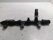 Einspritzleiste Kia Carnival II (UP) 315004X500