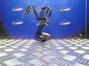 Bremsschlauch links vorne Toyota Prius (W3)