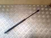 Heckklappendämpfer links VW Eos (1F)