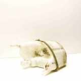 Behälter Scheibenwaschanlage Volvo V60 I (155) 31416284