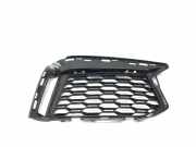 Gitter Grill vorne rechts BMW 5 (G30) M 550 i xDrive 8063422