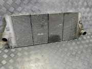 Ladeluftkühler Renault Laguna II Grandtour (G) 8200008761