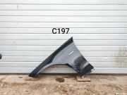 Kotflügel vorne links MERCEDES-BENZ E (W212) E 220 CDI / BlueTEC (212.001, 212.002) A2128810101