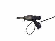 Einspritzdüse AUDI Q5 (8R) SQ5 TDI quattro 306E036P