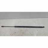 Heckklappe Gasdruckfeder links CHRYSLER 300 C (LX) 3.0 CRD 48568