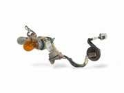 Xenon-Lampe NISSAN PATHFINDER III (R51) 2.5 dCi 4WD
