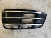 Kühlergrill links Audi Q5 (FY) 80A807681