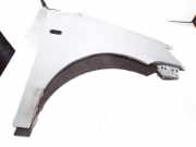 Kotflügel vorne rechts