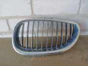 Kühlergrill oben BMW 5er Touring (E61) 7065701