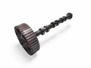 Auslassnockenwelle JAGUAR XF (X250) 3.0 D 4U3Q6K285AB 9X2Q6A272AA