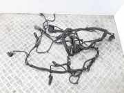 Motor Kabelbaum OPEL VECTRA C GTS 2.0 DTI 16V