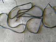 Türgummi rechts vorne Toyota Verso (R2)