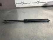 Heckklappe Gasdruckfeder links AUDI A1 (8X1, 8XK) 1.6 TDI 8X482755202S