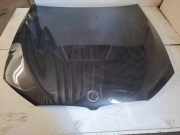 Motorhaube BMW 5 (G30) 530 d Mild-Hybrid R1234V