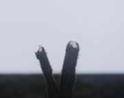 Tonverstärker AUDI A5 (8T3) 3.0 TDI quattro 8T0035462