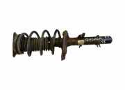 Stoßdämpfer vorne links NISSAN QASHQAI II (J11, J11_) 1.2 DIG-T 543034EA3A