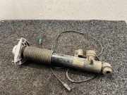 Stoßdämpfer hinten rechts BMW X5 (F15, F85) xDrive 40 d 6875088 37126875088
