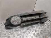 Blende Nebelscheinwerfer VW Caddy III Kasten (2KA) 2K0853683A