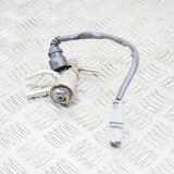 AdBlue Einspritzdüse NISSAN QASHQAI II (J11, J11_) 1.5 dCi 208995377R