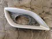 Gitter vorne unten MERCEDES-BENZ R (W251, V251) R 320 CDI 4-matic (251.022, 251.122) A2518850623