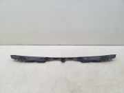 Ziergitter Audi A5 (F53) 8W6853037