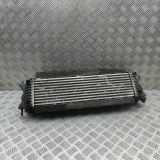 Ladeluftkühler NISSAN NP300 NAVARA Pick-up (D23) 2.3 dCi 4x4 144624JA1B 14461-4JA0B
