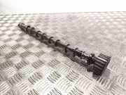 Auslassnockenwelle RENAULT ESPACE IV (JK0/1_) 2.2 dCi (JK0H) 013997