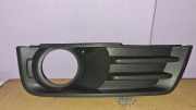 Gitter vorne unten FORD FOCUS C-MAX 2.0 TDCi 3M51R19952AD