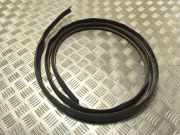 Dichtungsgummi der hinteren Tür (an der Karosserie) FIAT DOBLO MPV (263_) 1.3 D Multijet