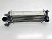 Ladeluftkühler Renault Kangoo II Rapid (FW0) 144963234R