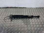 Stoßdämpfer hinten links MASERATI LEVANTE SUV (M161) 3.0 4WD 06700374390