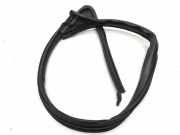 Türdichtungsgummi vorne links JAGUAR XK Coupe (X150) 5.0 V8 C2P21688