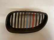 Vorderer oberer Gitter BMW 5 Touring (E61) 530 d 51137027061