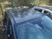 Dach FORD C-MAX II (DXA/CB7, DXA/CEU) 1.5 TDCi