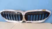 Vorderer oberer Gitter BMW 3 (G20, G28) 3 (G20) 320 d 7449432