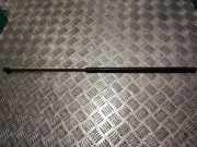 Gasfeder für Motorhaube Audi A7 Sportback (4G) 8T0823359