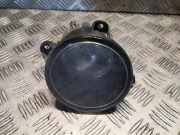 Nebelscheinwerfer vorne rechts LAND ROVER RANGE ROVER SPORT (L320) 2.7 D 4x4 xbj000080