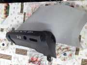 Türpolsterverkleidung hinten links FIAT PUNTO (199_) 1.3 D Multijet