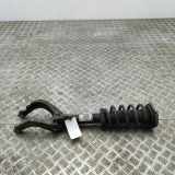 Stoßdämpfer vorne rechts VOLVO V60 II (225, 227) B6 Mild-Hybrid AWD 32246460 P32246460