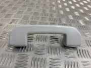 Griff Panoramadach Peugeot Expert III Kasten (V)