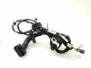 Kabel Tür Renault Clio IV (BH) 241255040R