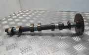Auspuffkrümmer Jaguar X-Type (X400) 1X4E6A269CA
