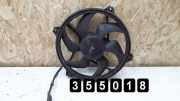 Elektrolüfter Citroen C5 I Break (DE)