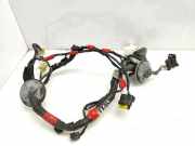 Kabel der vorderen linken Tür HYUNDAI SONATA V (NF) 3.3 916003K131