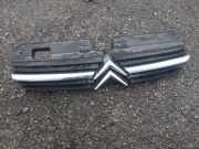 Vorderer oberer Gitter CITROËN C5 I (DC_) 2.0 16V (DCRFNC, DCRFNF) 9636751980
