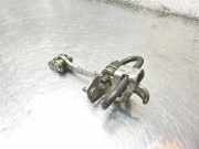 Türanschlag hinten links