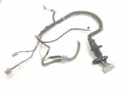 Türverkabelung hinten links