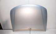 Motorhaube VW PASSAT Variant B5 (3B5) 1.6